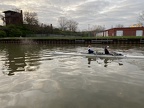 IMG 3566